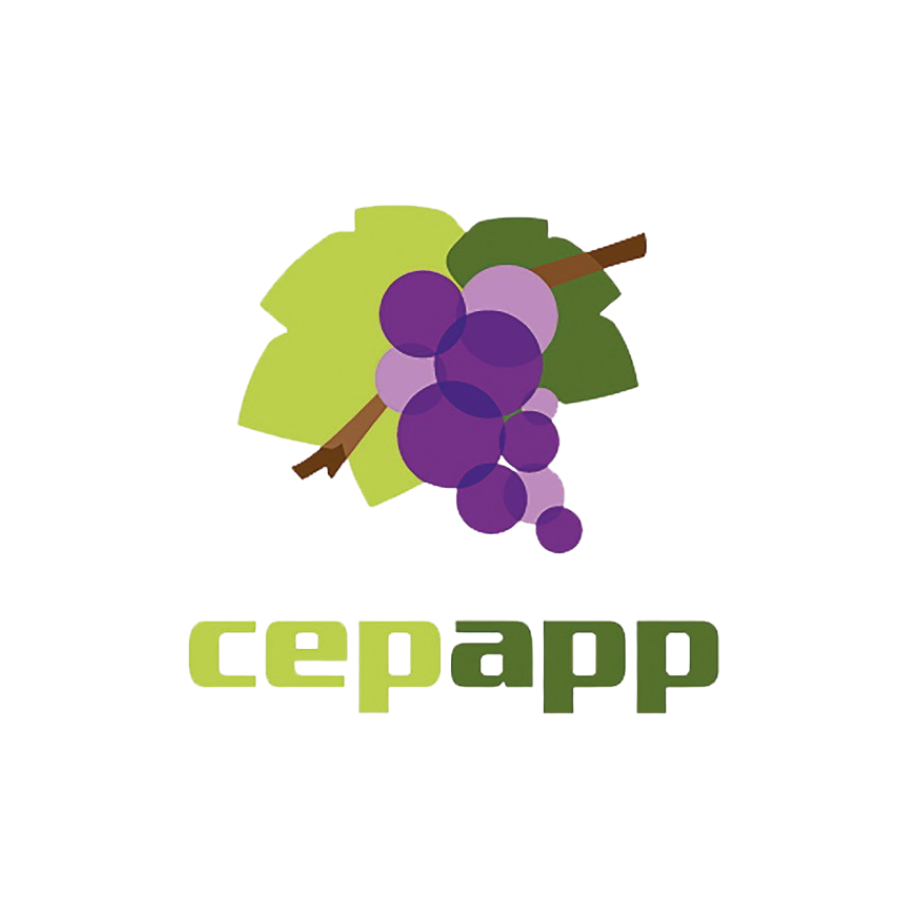 CepApp Logo
